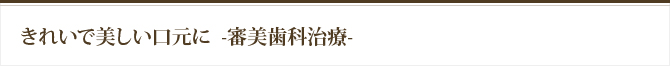 きれいで美しい口元に-審美歯科治療-