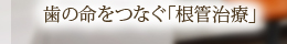 歯の命をつなぐ「根管治療」