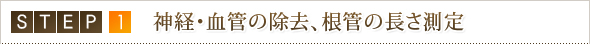 STEP 1 神経・血管の除去、根管の長さ測定